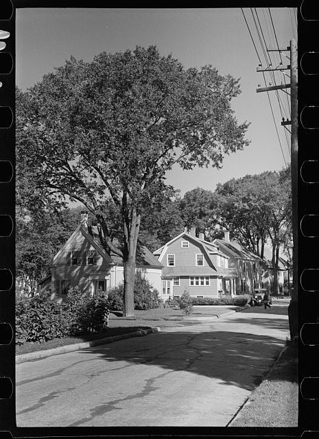 Photo:1930s Residential Street Houses Trees Utility Pole