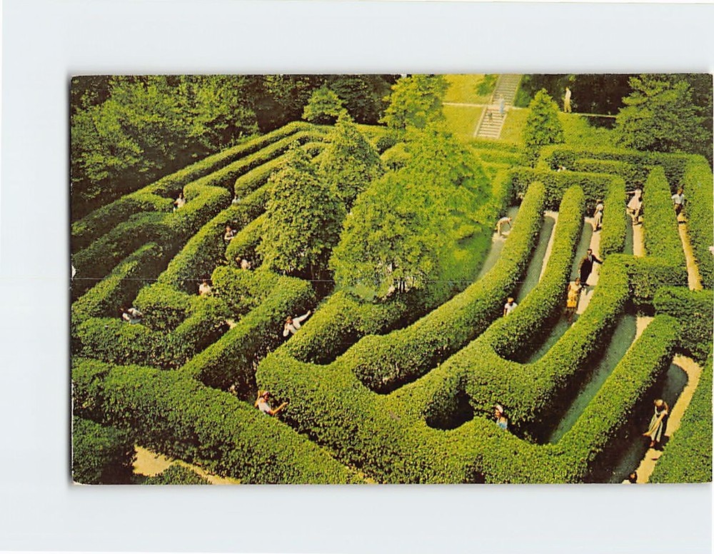 Postcard The Governor's Palace Maze Williamsburg Virginia USA