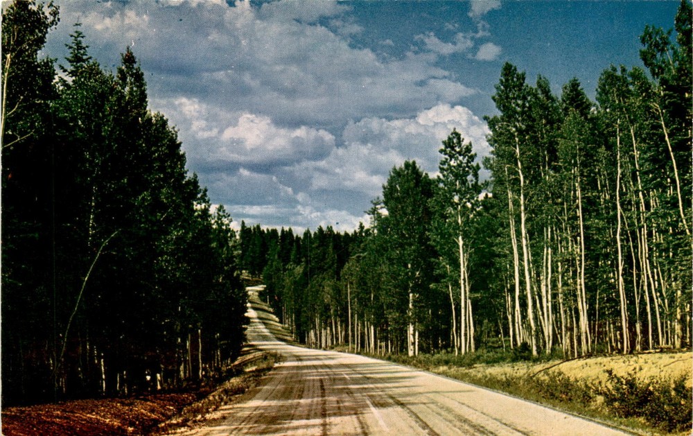 KAIBAB NATIONAL FOREST, ARIZONA, North Rim, Grand Canyon, Salt Lake Postcard