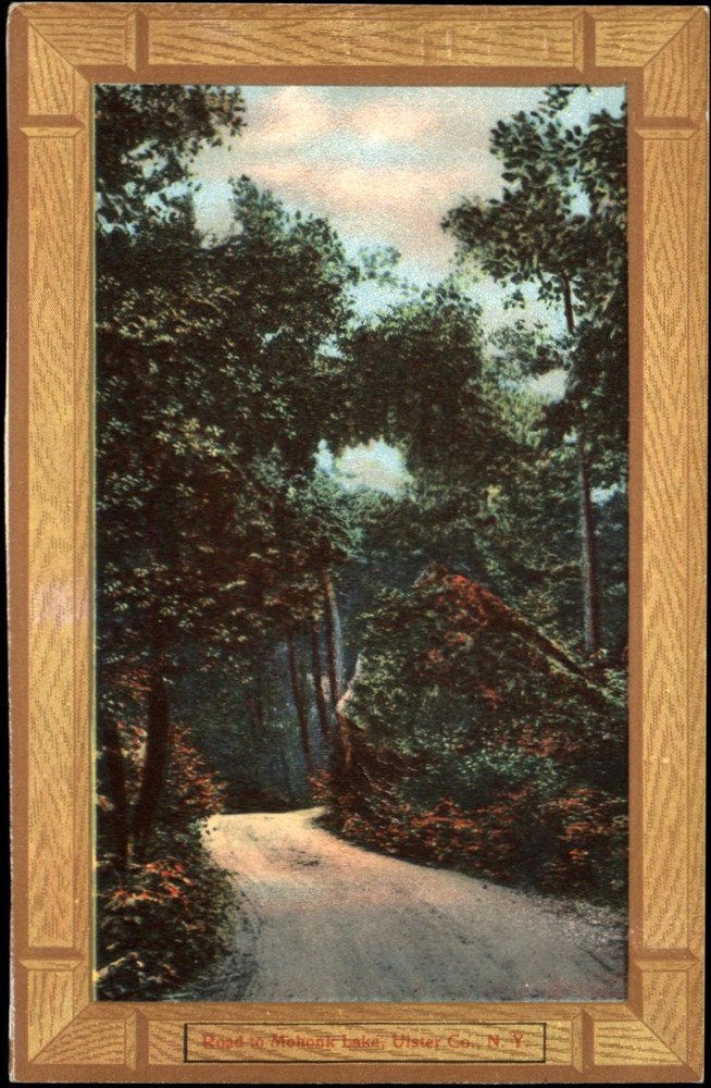 Road to Mohonk Lake Ulster County NY New York ~ faux wood frame ~ c1910