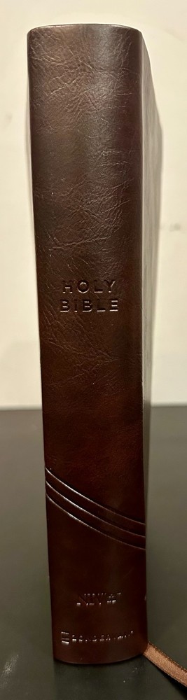 NIV Personal Size Giant Print Holy Bible (Zondervan, Brown Leathersoft)