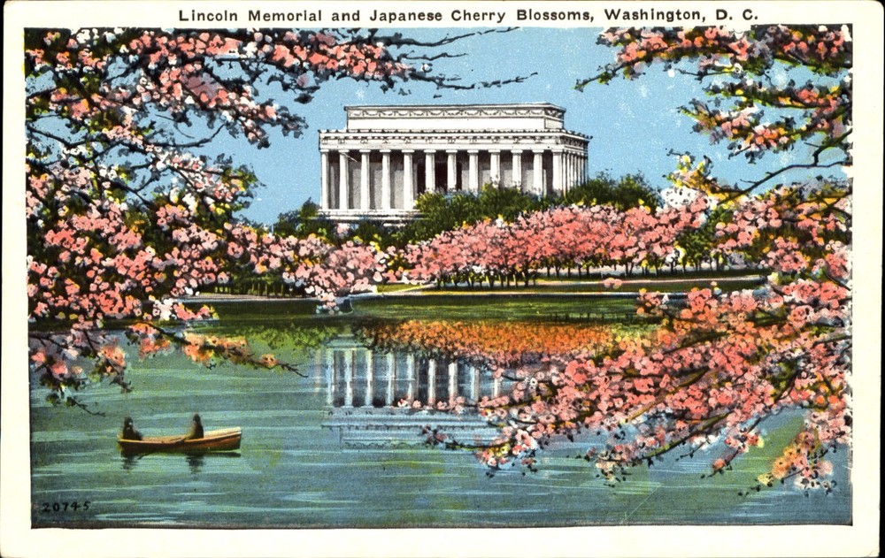 Lincoln Memorial and Japanese Cherry Blossoms Washington DC ~ 1920s