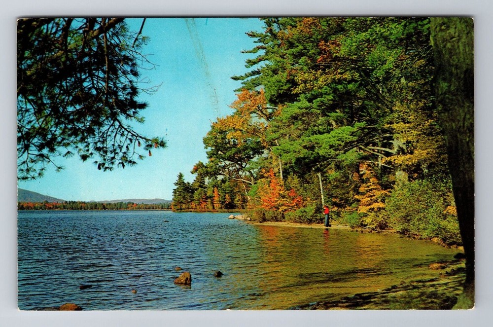 Andes NY-New York, Greetings, Placid Waters, Scenic Lake View, Vintage Postcard