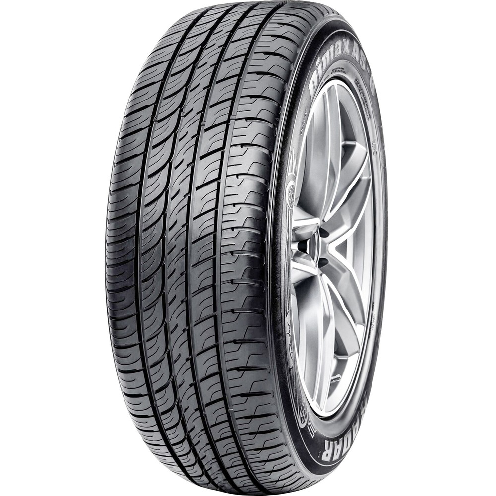 4 Tires Radar Dimax AS-8 245/45ZR19 245/45R19 102W XL A/S High Performance