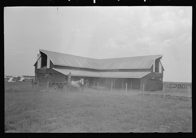 Photo:Lake Dick Arkansas 1938 Hay Barn Farm Security Administration FSA