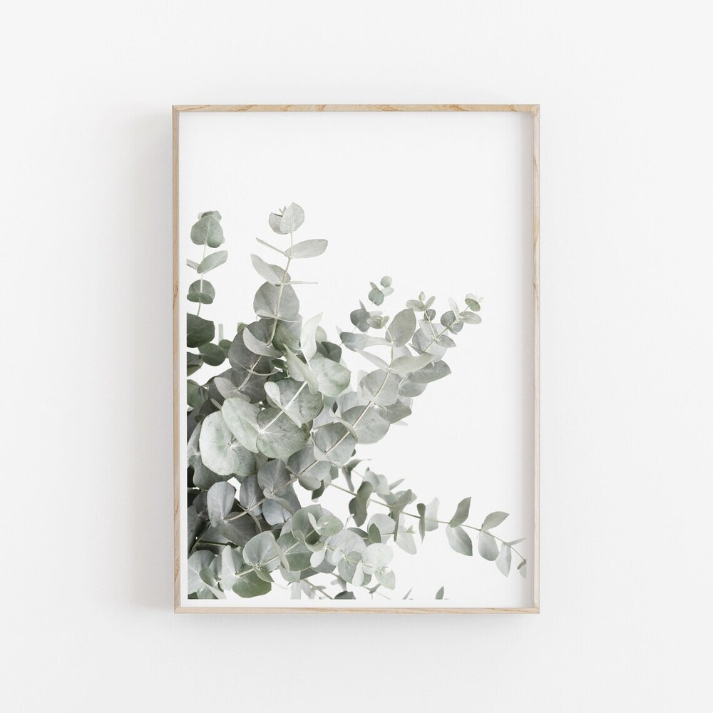 Botanical Eucalyptus Wall Art Poster Premium Quality Choose your Size