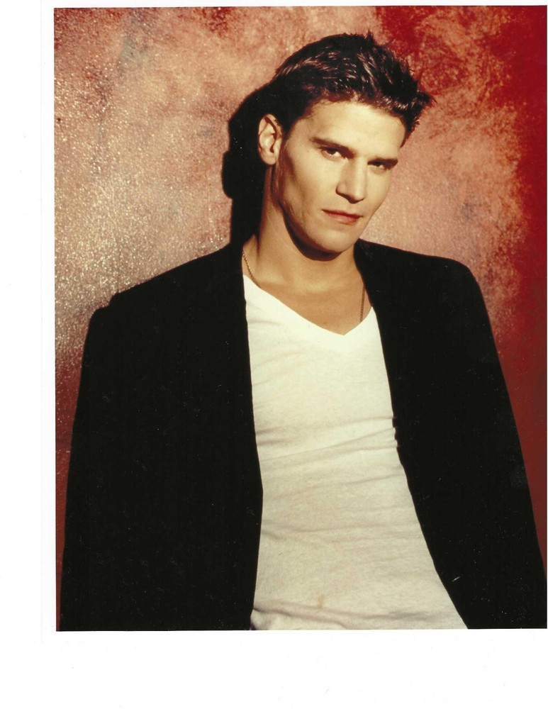 David Boreanaz 8