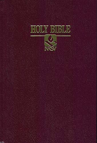 Holy Bible New Revised Standard Version Bi- 9780529110053, hardcover, Publishing