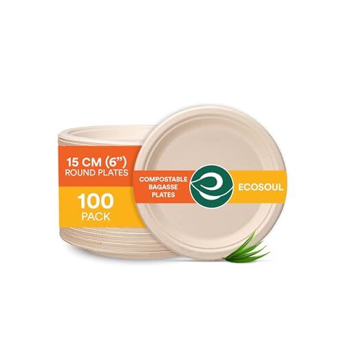 100% Compostable 6 Inch Small Paper Plates (100-Pack) Disposable Party Heavy ...