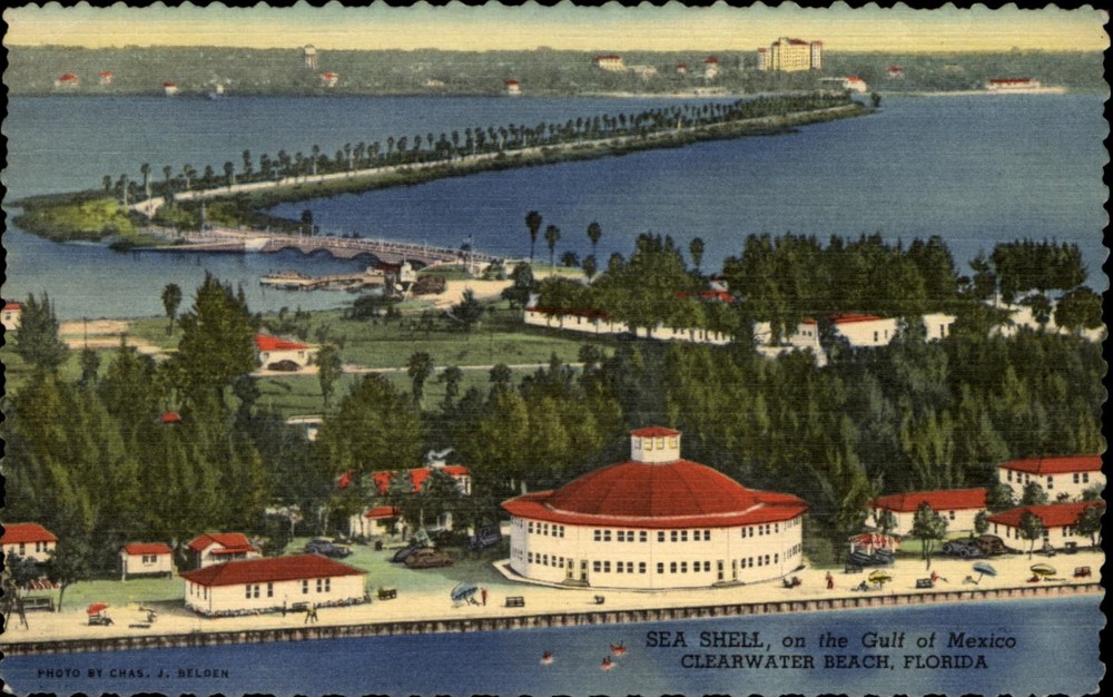 Sea Shell Clearwater Beach Florida vintage postcard t584