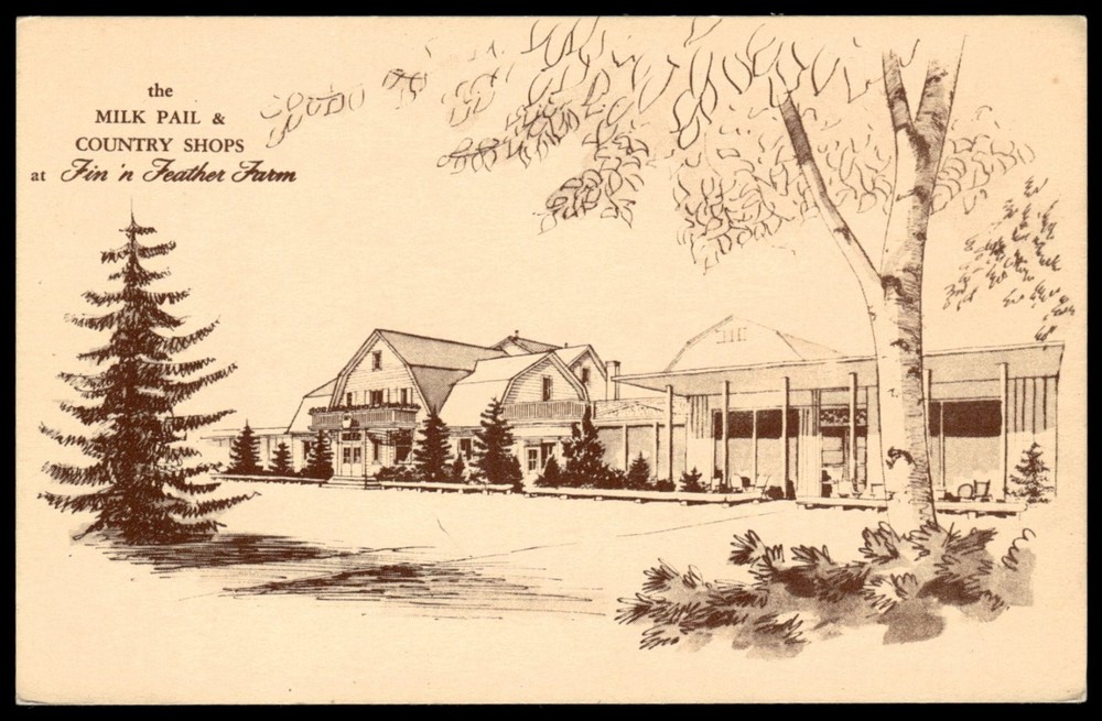 Fin 'n Feather Farm Milk Pail Country Shops Dundee Elgin IL Postcard