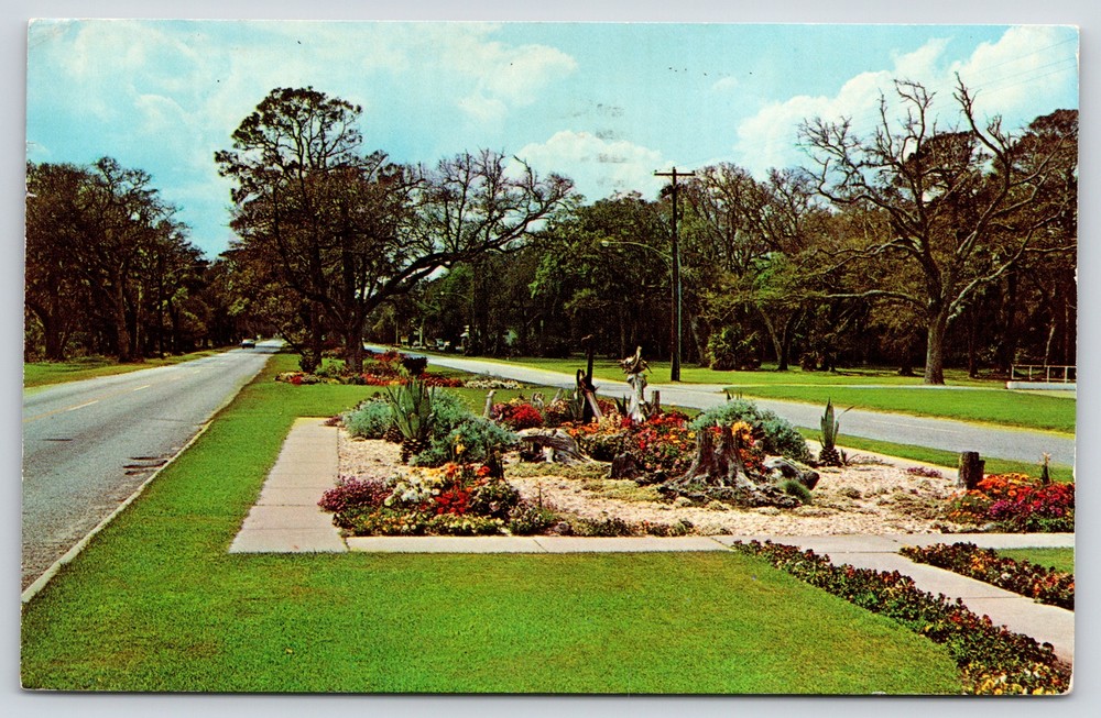 State View~Flowers Along Highway On Jekyll Island Georgia~Vintage Postcard