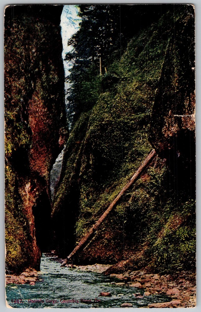 Antique Postcard River View Oneonta Gorge, OR 1910s