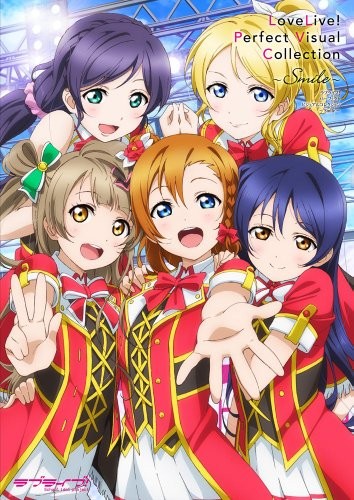 Used Love Live! Perfect Visual Collection 