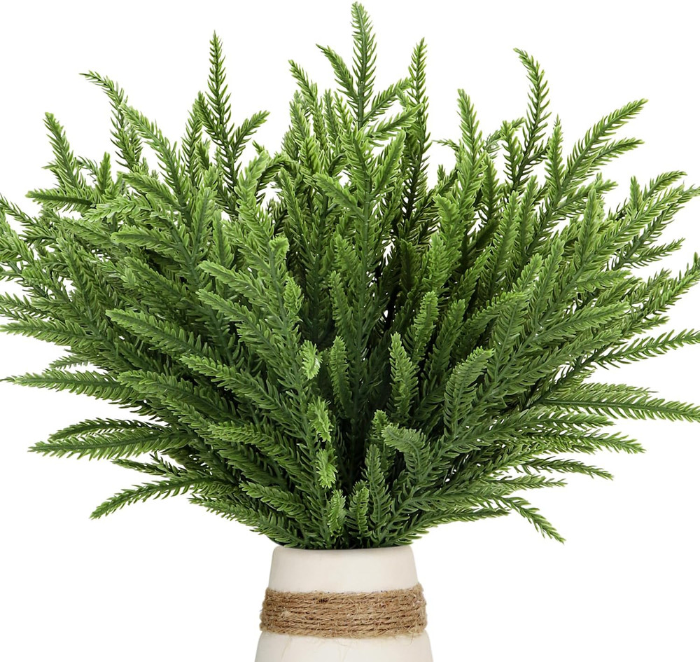 30PCS Norfolk Pine Stems 15