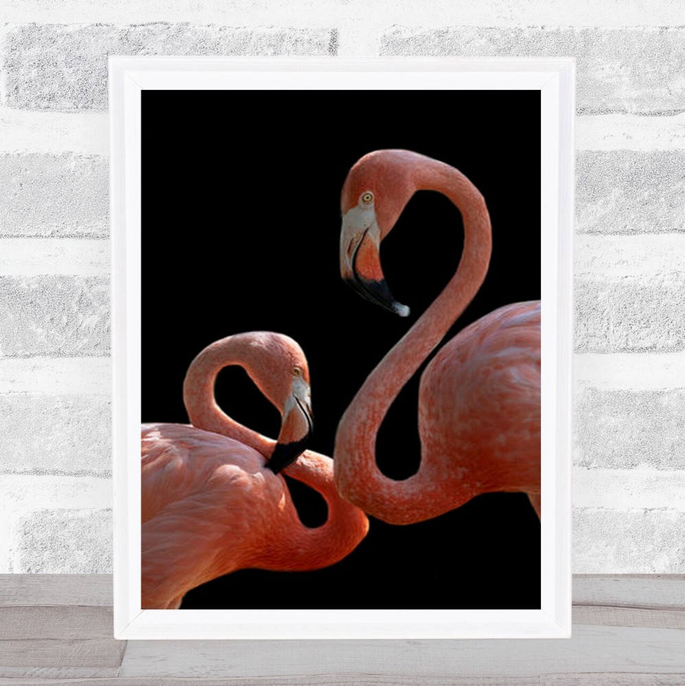 Flamingo Friendship Close-Up Wall Art Print for Home Decor