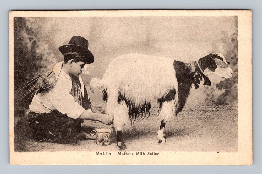 Malta- Maltese Goat Milk Seller Souvenir Old Postal Card View Vintage Postcard