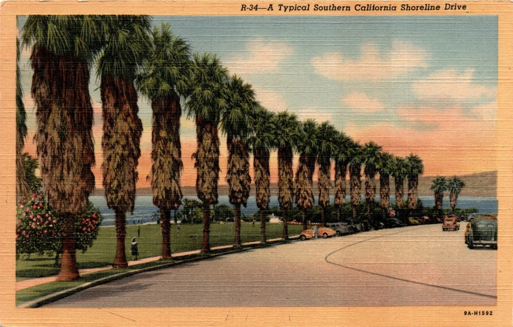 Southern California, Shoreline Drive, Western Publishing & Novelty Postcard