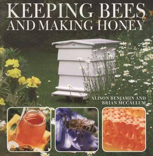 Keeping Bees And Making Honey - Paperback By Benjamin, Alison - VERY GOOD