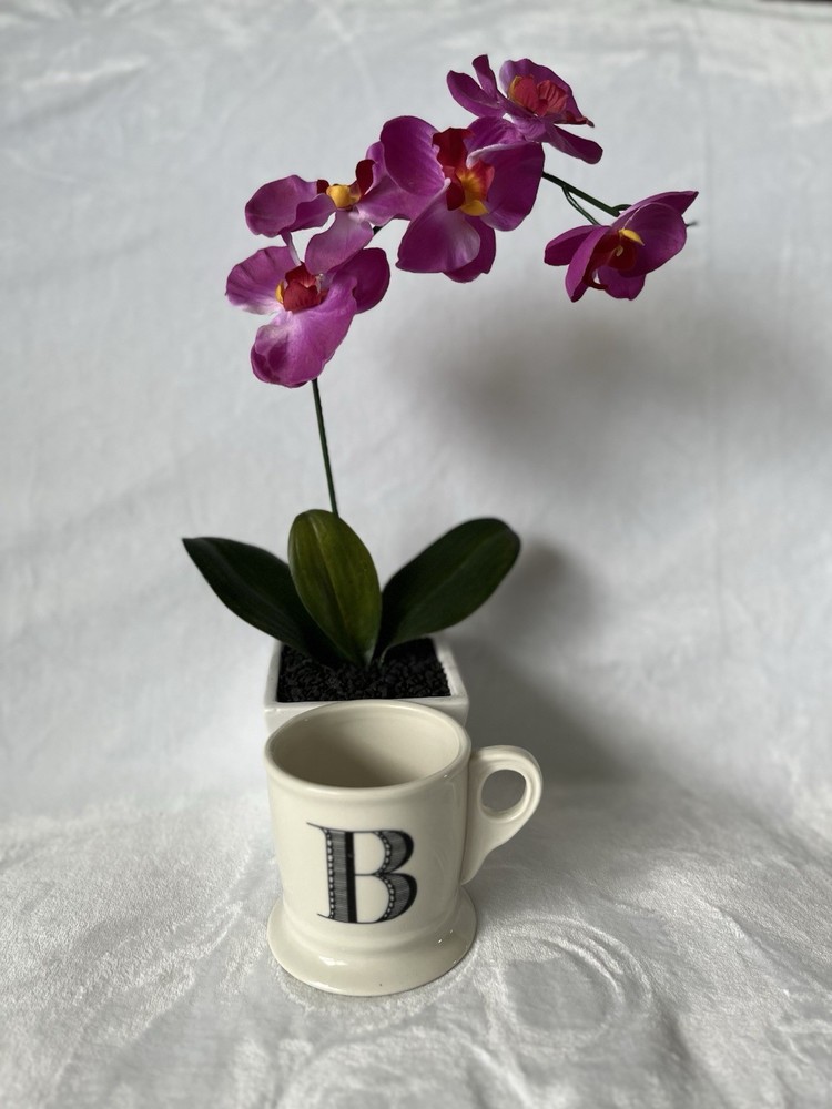 Anthropologie Monogram Letter B Coffee Mug Cup White Black Initial Pedestal Base