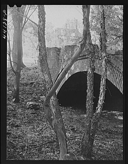 Scull Shoals,Greene County,Georgia,GA,Farm Security Administration,1941,FSA,2
