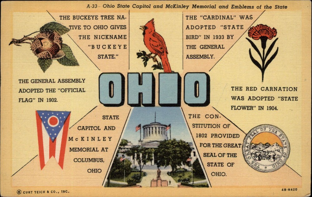 Columbus Ohio ~ State Capitol ~ Buckeye tree ~ red carnation ~ seal ~ postcard