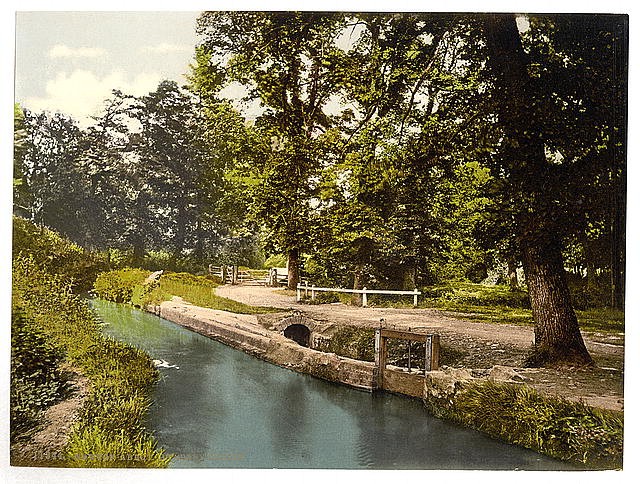 Photo:Bradley Woods,Newton Abbott,England,1890s