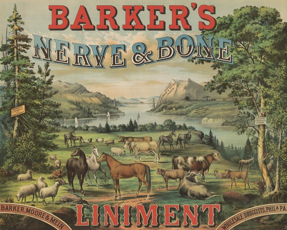 9491.Decoration Poster.Room Wall art.Home decor.Victorian Farm Vet liniment