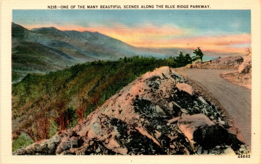 Blue Ridge Parkway, Asheville, N. C. Postcard