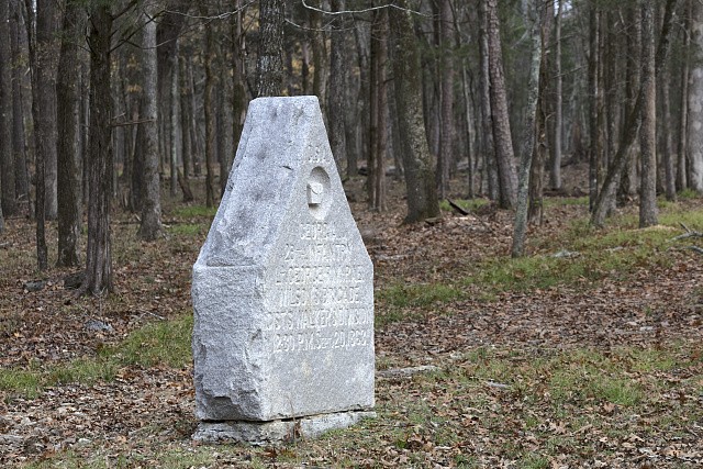 Chickamauga GA Georgia 29th Infantry Marker 2017 National Military Park