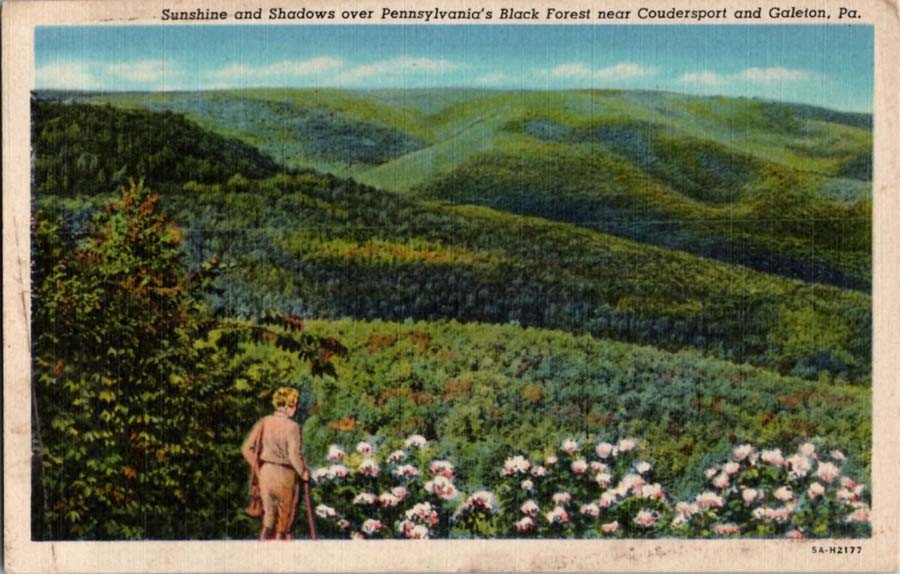 Between Coudersport And Galeton Pennsylvania PA : PANORAMIC SCENE m/14 BA4713