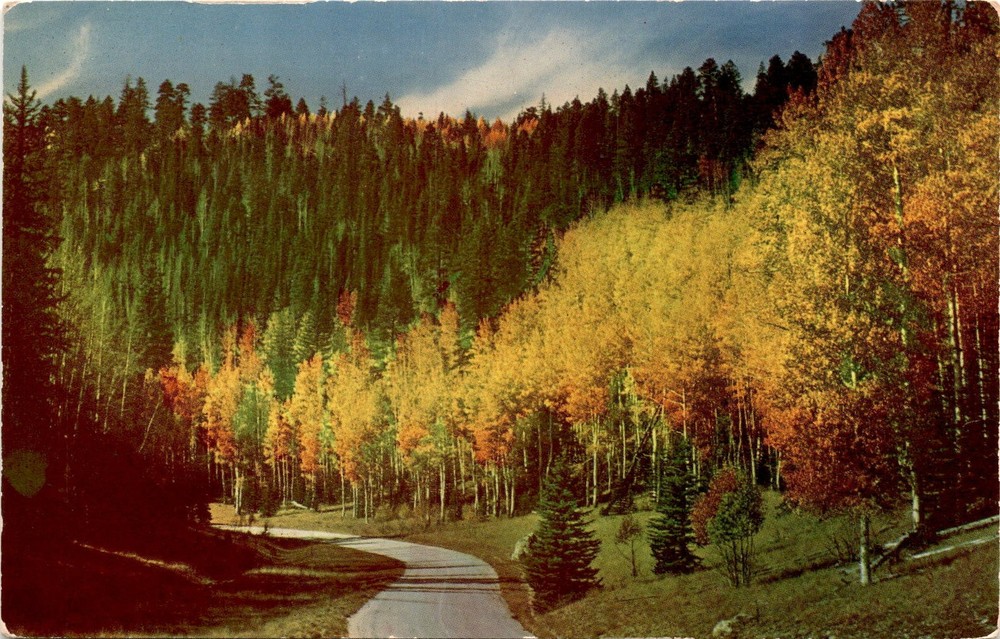 KAIBAB NATIONAL FOREST, GRAND CANYON, ARIZONA, North Rim, Postcard