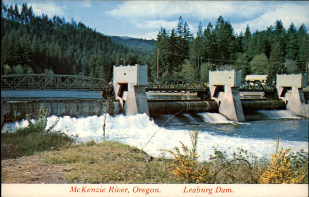 Leaburg Dam Oregon McKenzie River pine trees unused vintage postcard