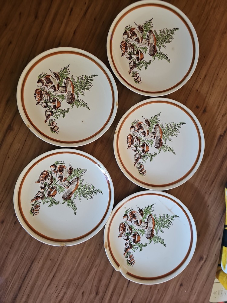 Set Of 5 Royal China Woodland Magic Plates Vintage 1970s