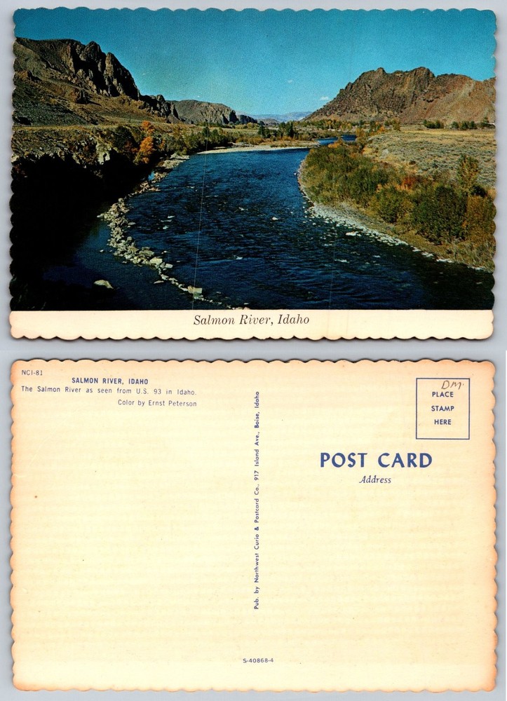 Salmon River Idaho Postcard US 93 Scenic View Northwest Curio Chrome