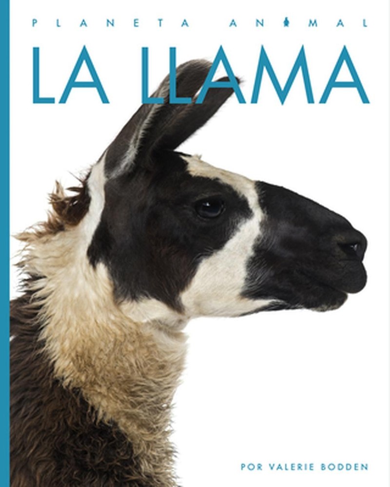 La Llama by Valerie Bodden (English) Paperback Book