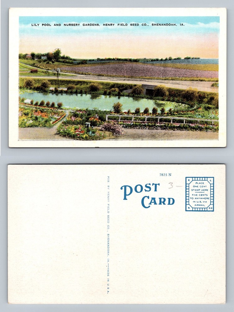 Shenandoah, IA-Iowa, Henry Field Seed Co Pool Nursery Gardens Vintage Postcard