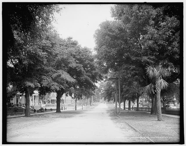 Photo:Riverside Avenue, Jacksonville, Fla.