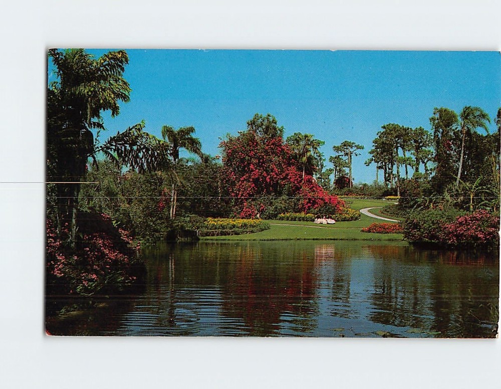 Postcard Scenic View in Cypress Gardens Florida USA