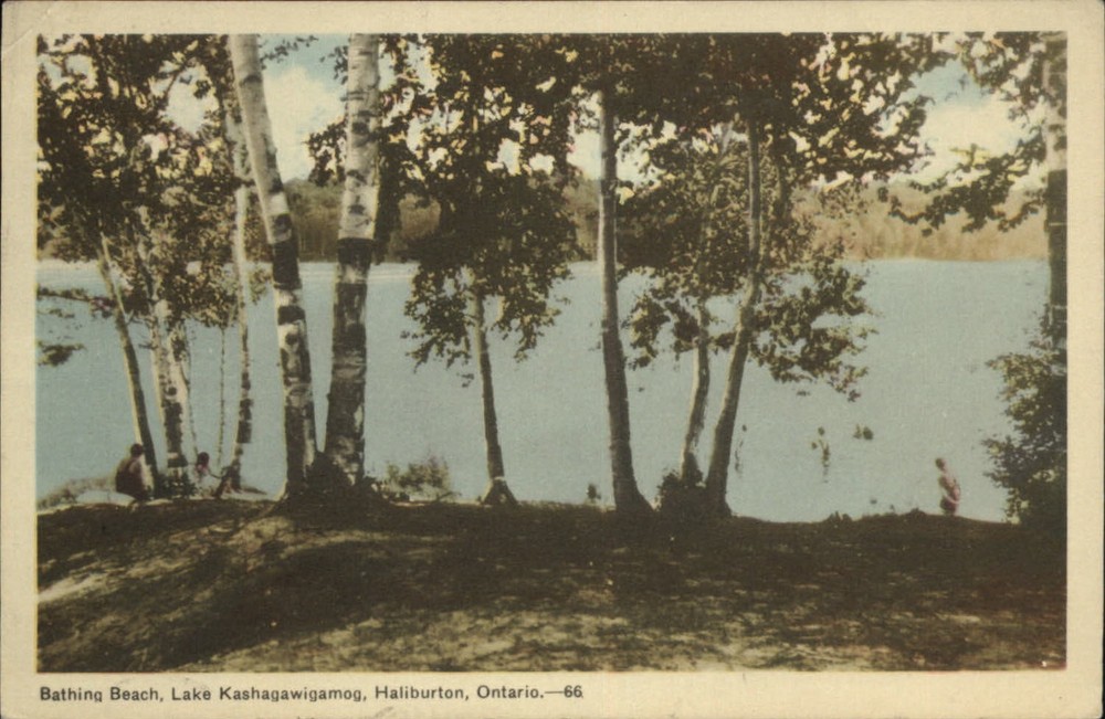 Haliburton Ontario Canada Lake Kashagawigamog beach mailed 1949 vintage postcard