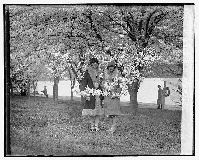 Photo:Angelica and Juliette Pueyrredon by Cherry Blossoms 1927