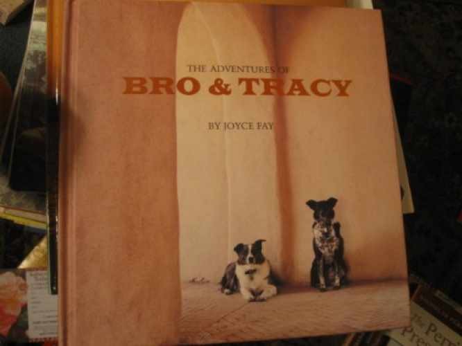 The Adventures of Bro and Tracy - Hardcover, by Fay Joyce - Very Good