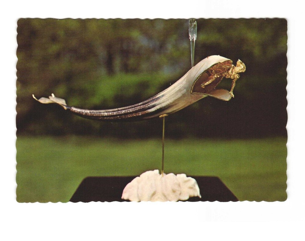 Whale carved from bull's horn from the Congo vintage postcard unposted