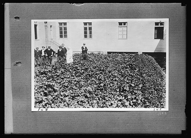 Photo:Paris France 1917-1920 Tuberculosis Barracks Group Photo