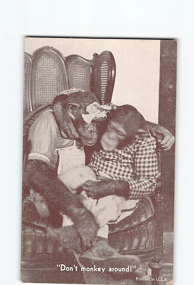 Postcard Don't Monkey Around Chimpanzee Anthropomorphic Animal Comic