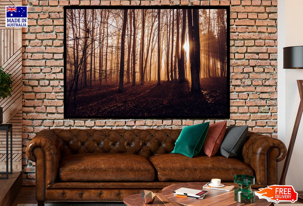(Laminated) Sunrays In Dark Forest Photograph 91x61cm