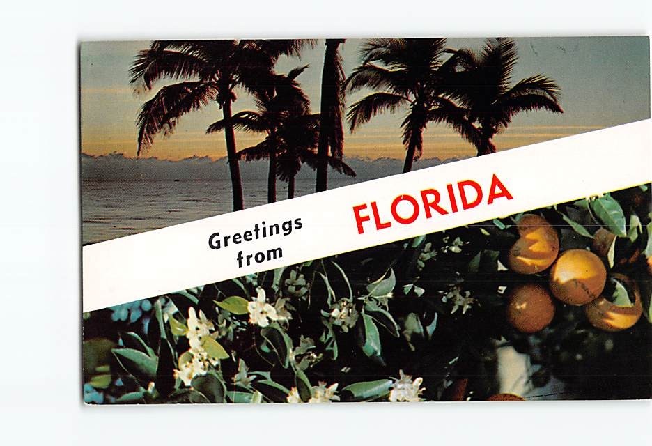 Postcard Scenes & Views Greetings from Florida USA