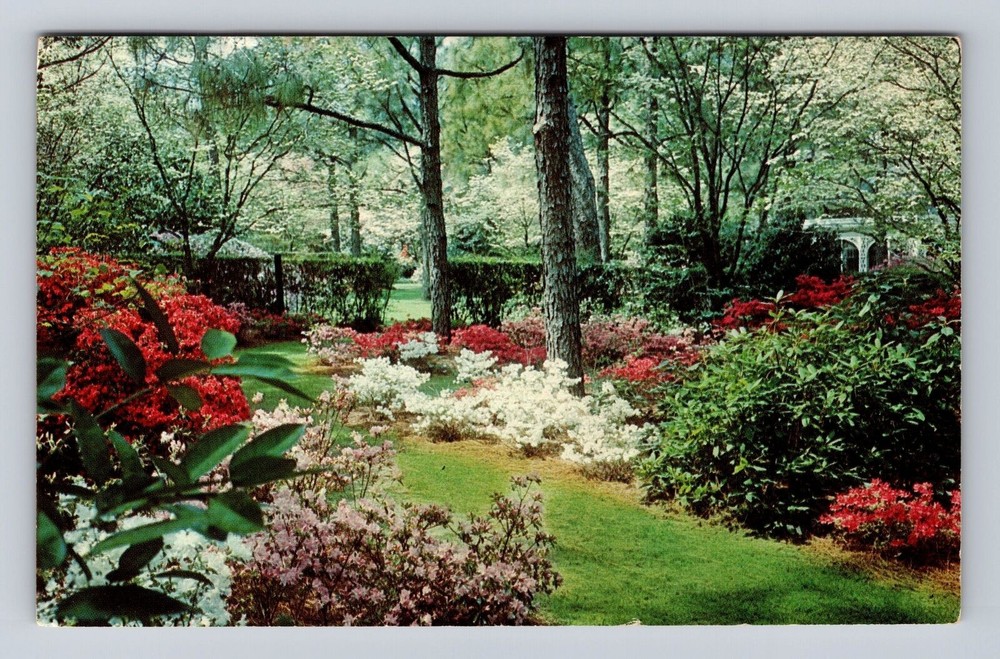 Southern Pines NC-North Carolina, Mid-South Resort, Vintage c1961 Postcard