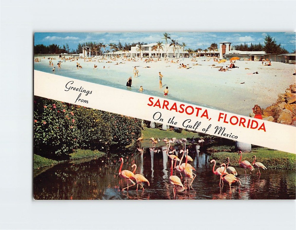 Postcard Greetings From Sarasota Florida - On The Gulf Of Mexico