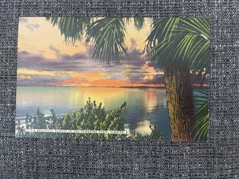 Vintage Linen Postcard Miami, Florida~ A Beautiful Sunset In The Sunshine State